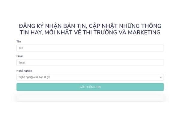 Biểu mẫu cần được tối ưu về cả hình thức lẫn nội dung để tránh mắc lỗi trang web