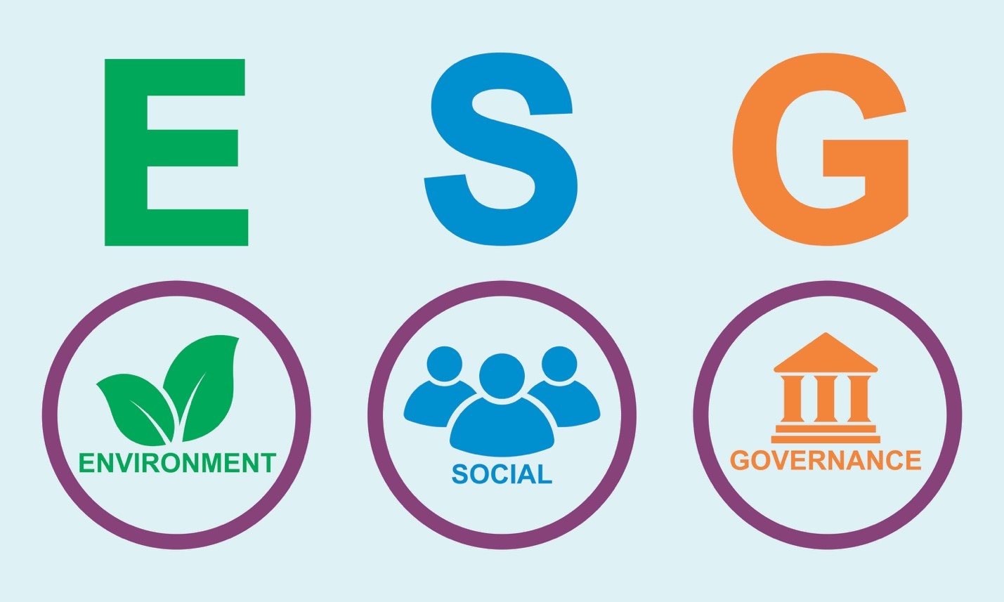 ESG là một chiến lược chính thức của doanh nghiệp.